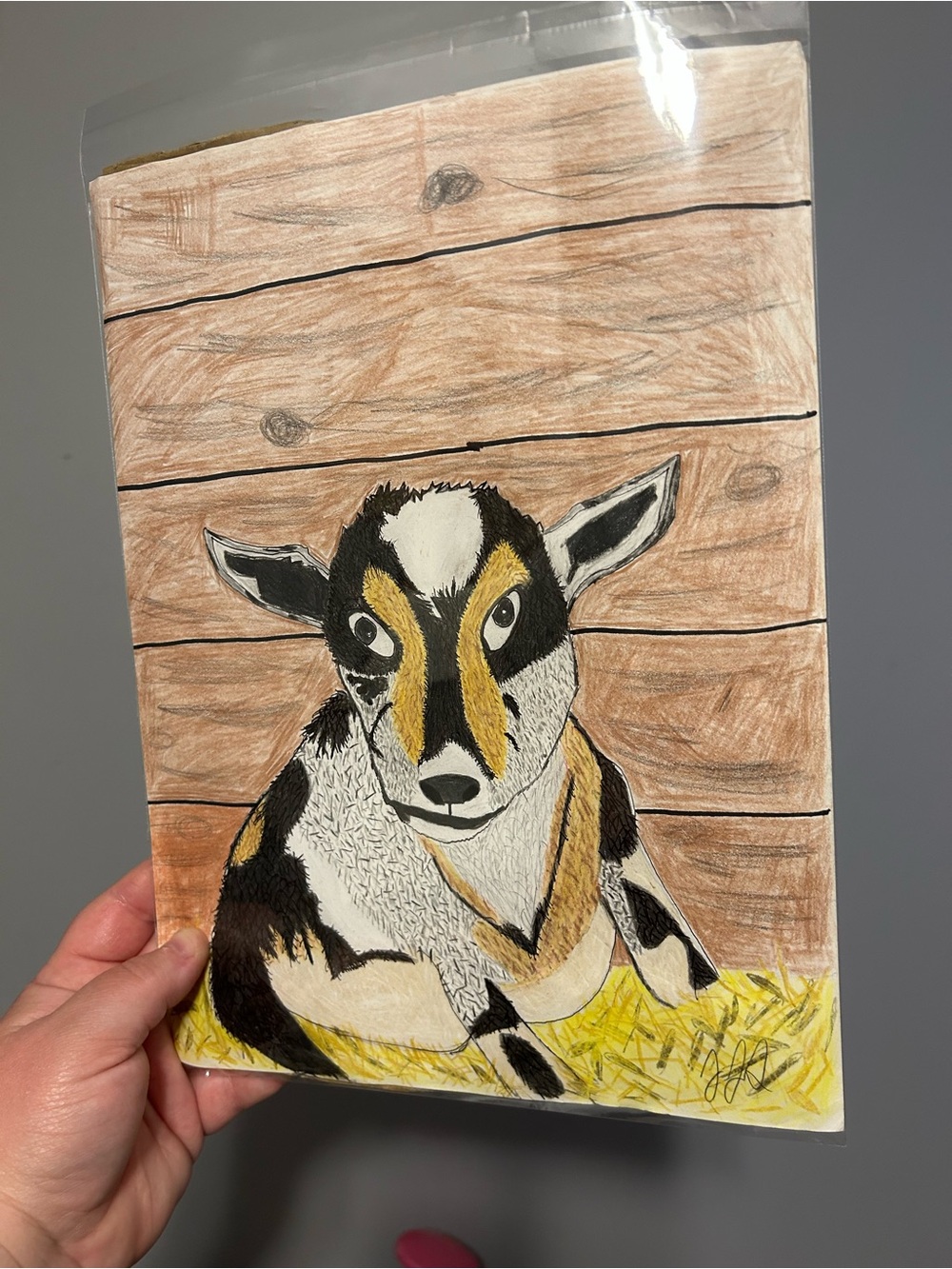 Original One Of A Kind Goat Illustration Drawing 9x12